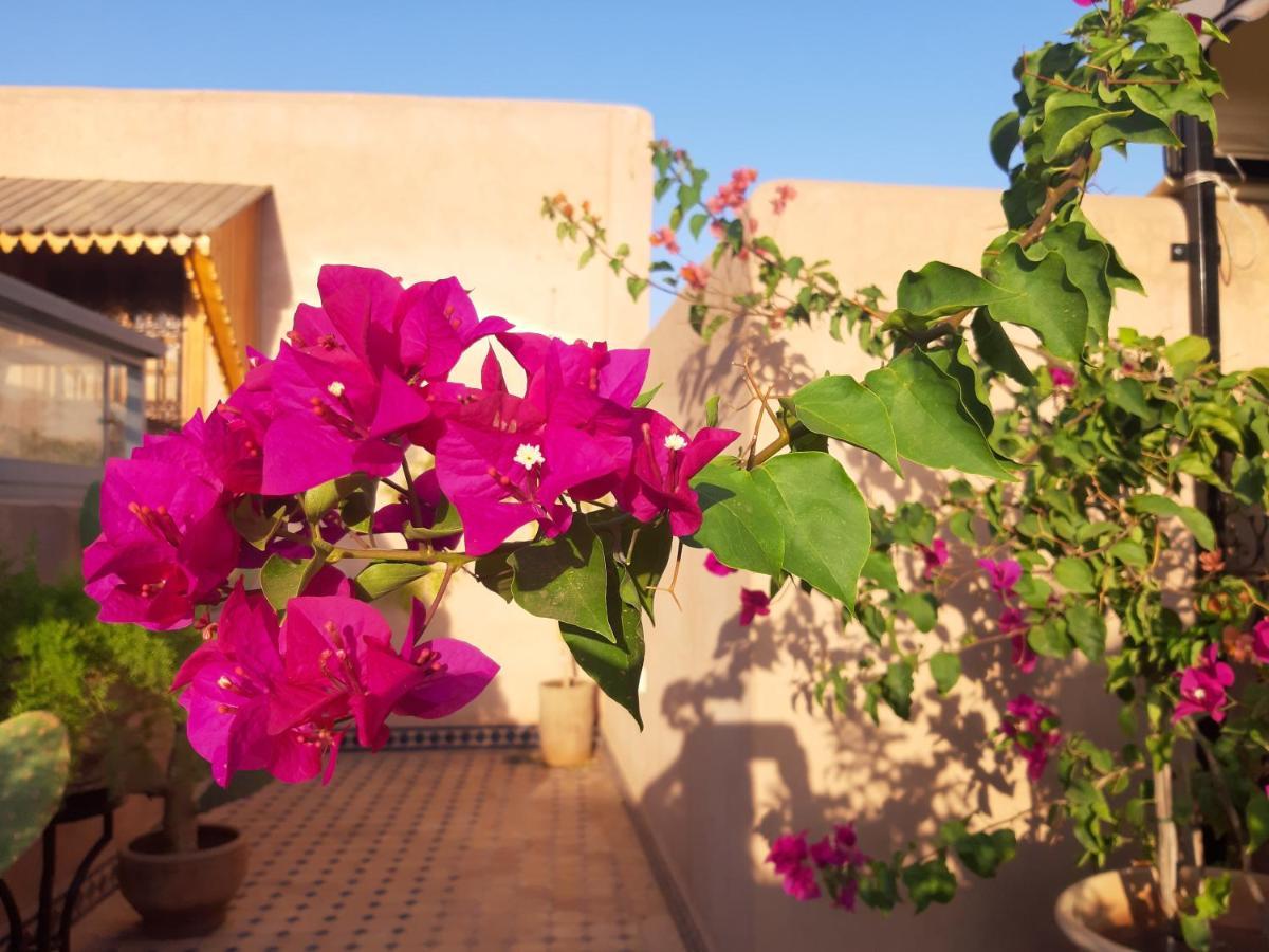 فندق رياض ميرال مراكش المظهر الخارجي الصورة